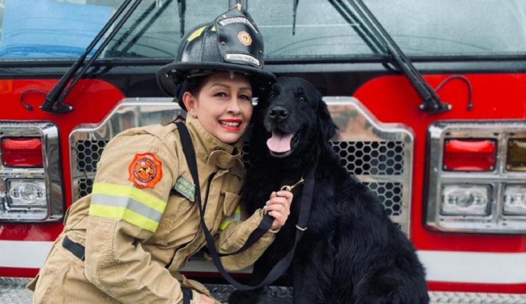 Fito se jubila tras 11 años de servicio en el cuerpo de Bomberos de Bogotá. Fito se jubila tras 11 años de servicio en el cuerpo de Bomberos de Bogotá.