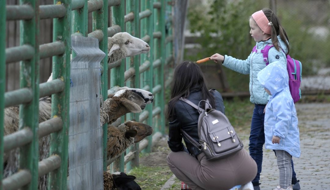 Animalistas piden ayuda para animales de zoológico de Ucrania Animalistas piden ayuda para animales de zoológico de Ucrania