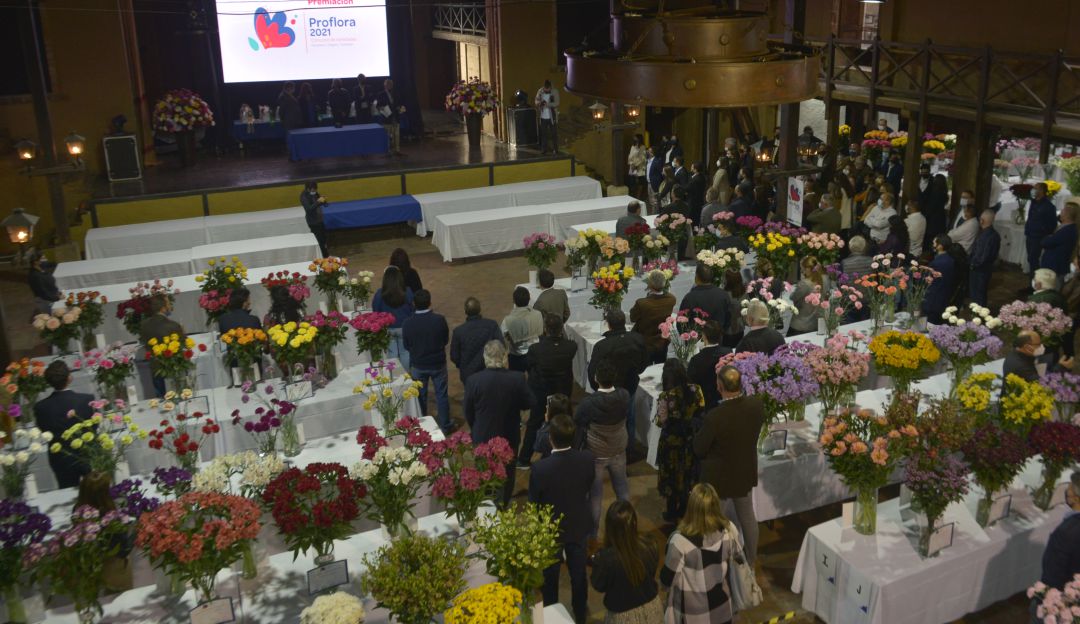 Flores Flores