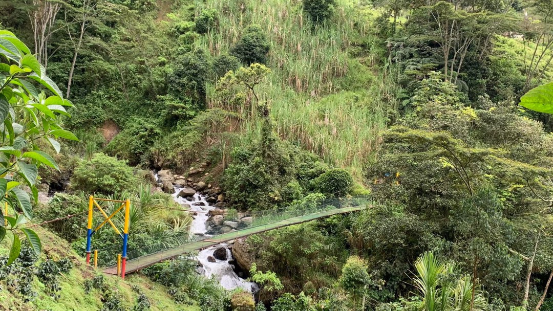 Puentes más seguros para los campesinos instalan en Antioquia