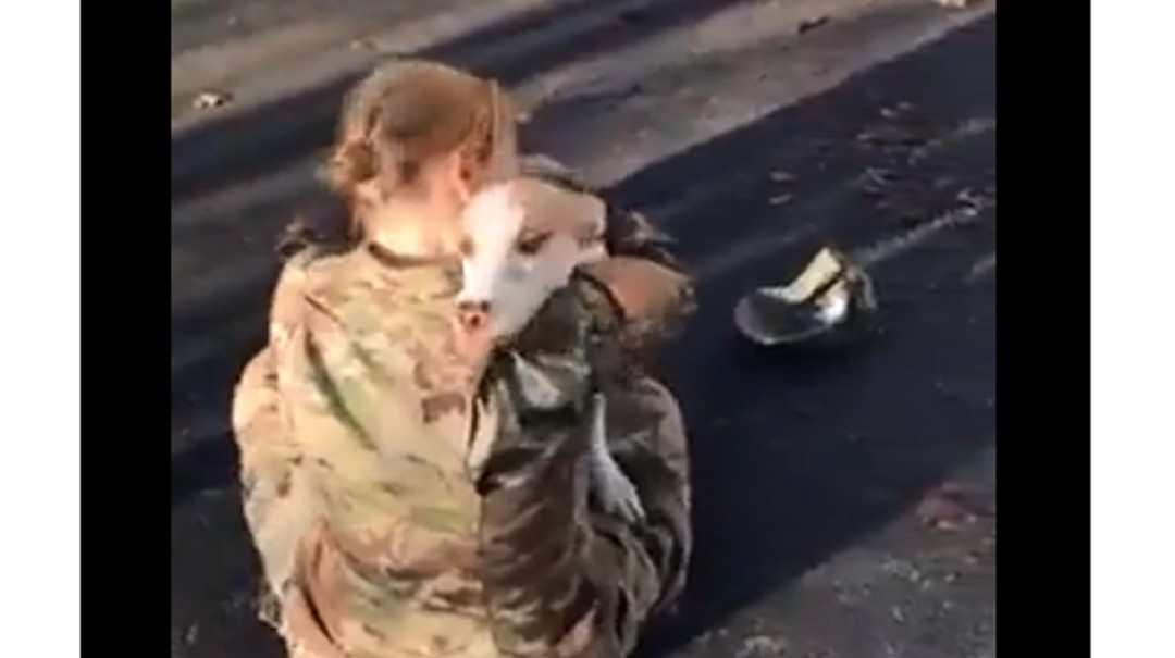 Emotivo video en el que un perro reconoce a su dueña, que es militar