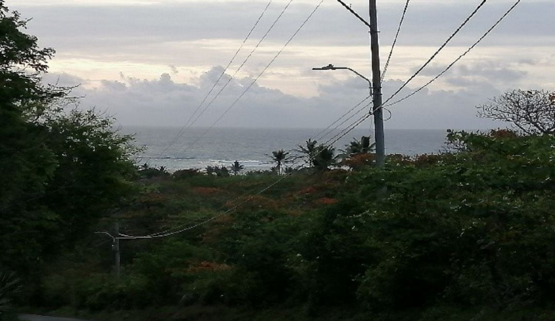 Cultivos cerca del mar en la isla de San Andrés Cultivos cerca del mar en la isla de San Andrés