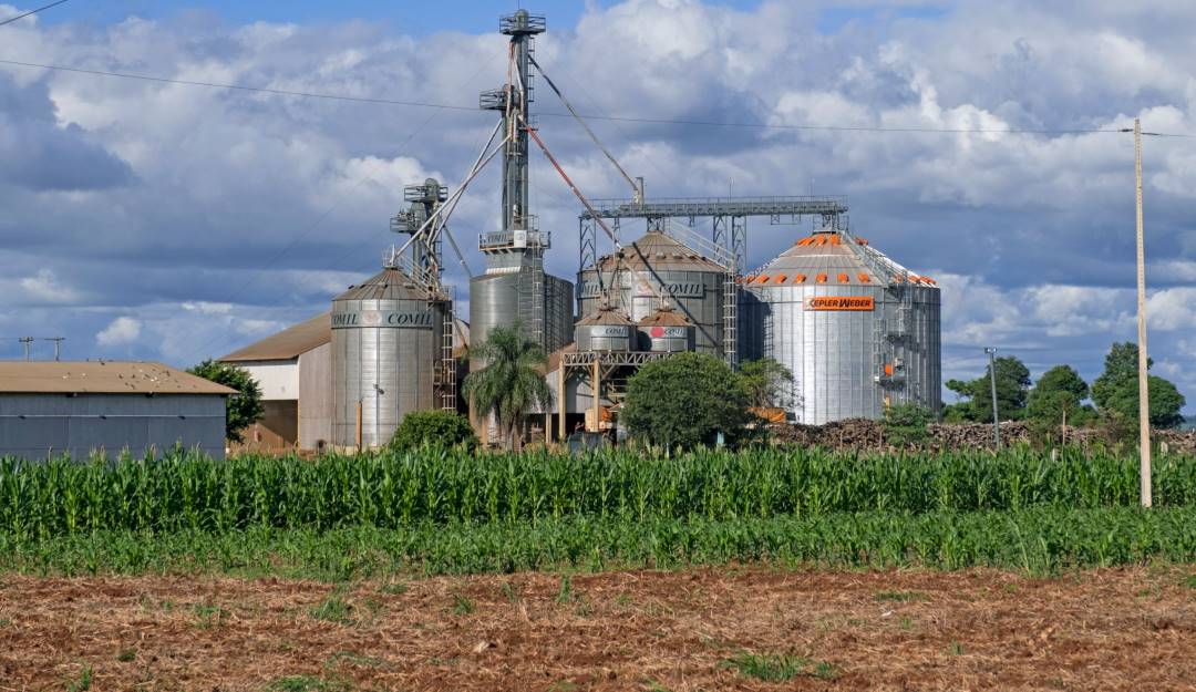 Producción de soja en Paraguay. Foto: Getty Producción de soja en Paraguay. Foto: Getty