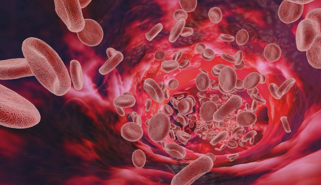 ¡Increíble! Encuentran rastros de microplásticos en la sangre humana ¡Increíble! Encuentran rastros de microplásticos en la sangre humana