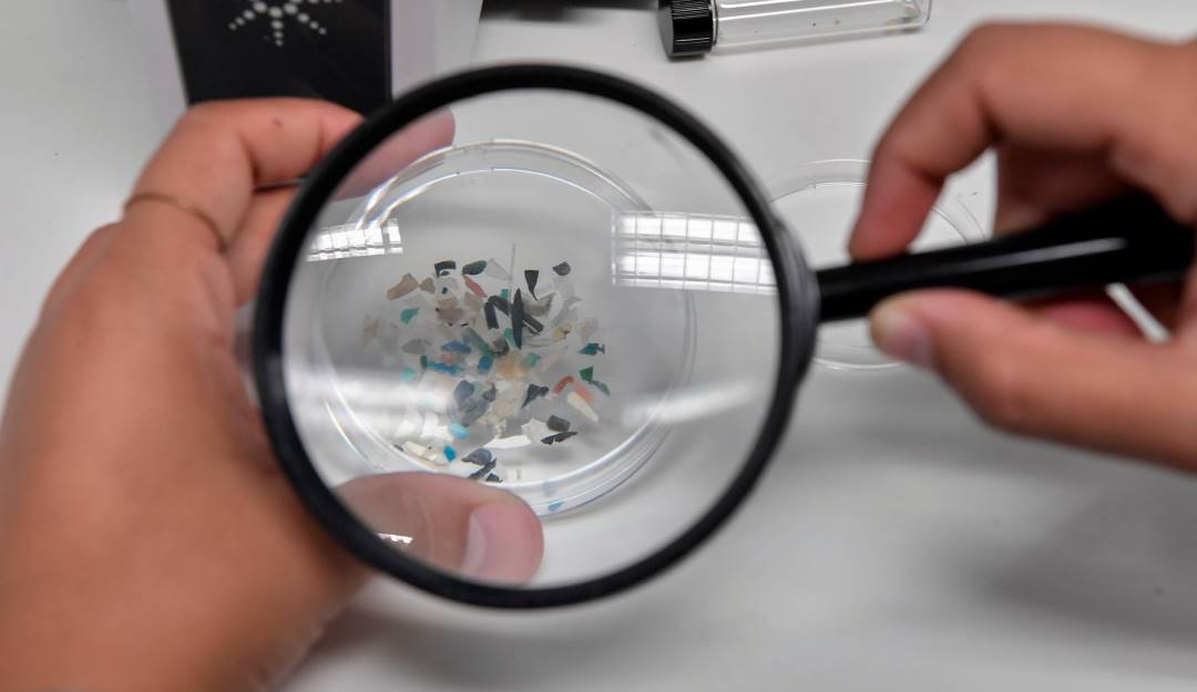 Muestra de microplásticos recolectados en el mar. Foto: Getty Muestra de microplásticos recolectados en el mar. Foto: Getty