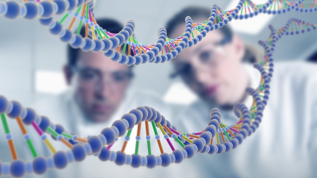 ¡Por fin! Terminaron de decodificar un genoma humano completo