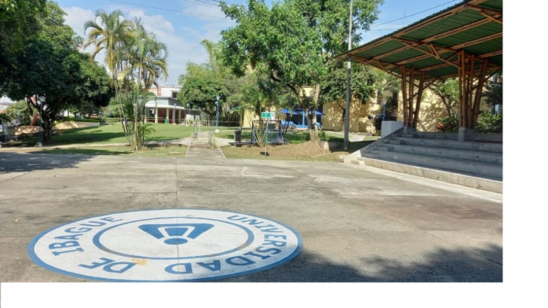 Programa de U. de Ibagué recibe reacreditación de alta calidad
