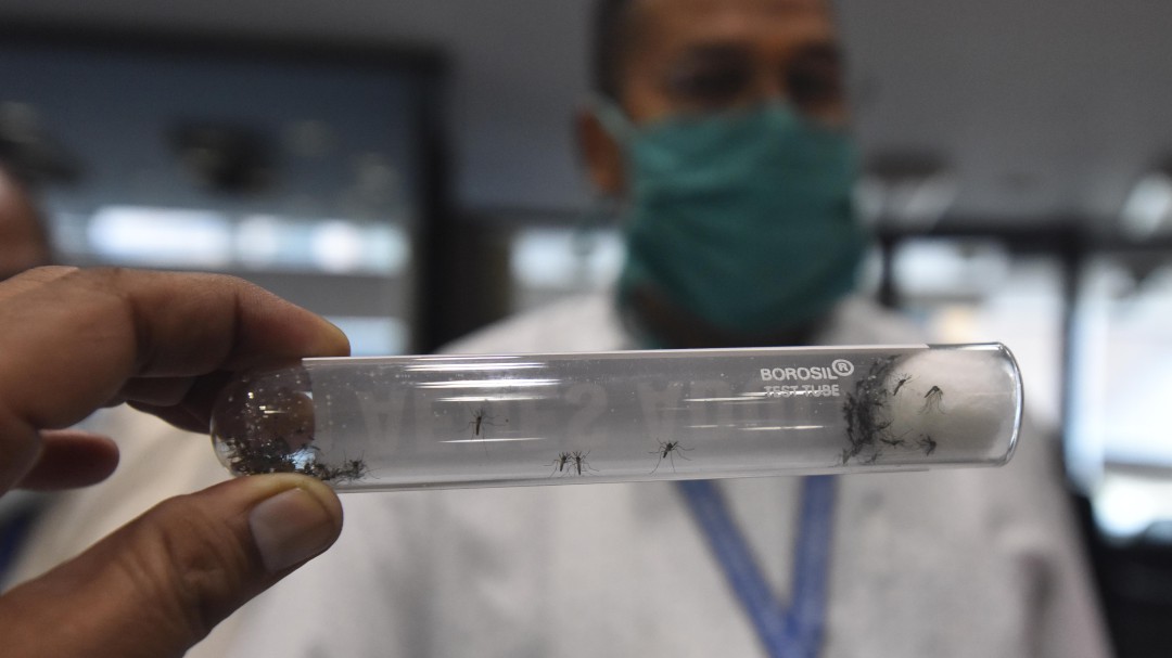 Alerta por riesgo de transmisión de Zika, Dengue y Chikunguña