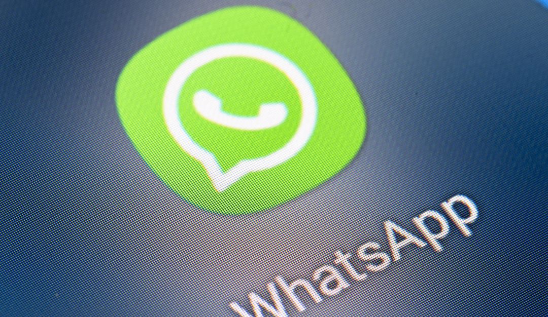 WhatsApp, red social. WhatsApp, red social.