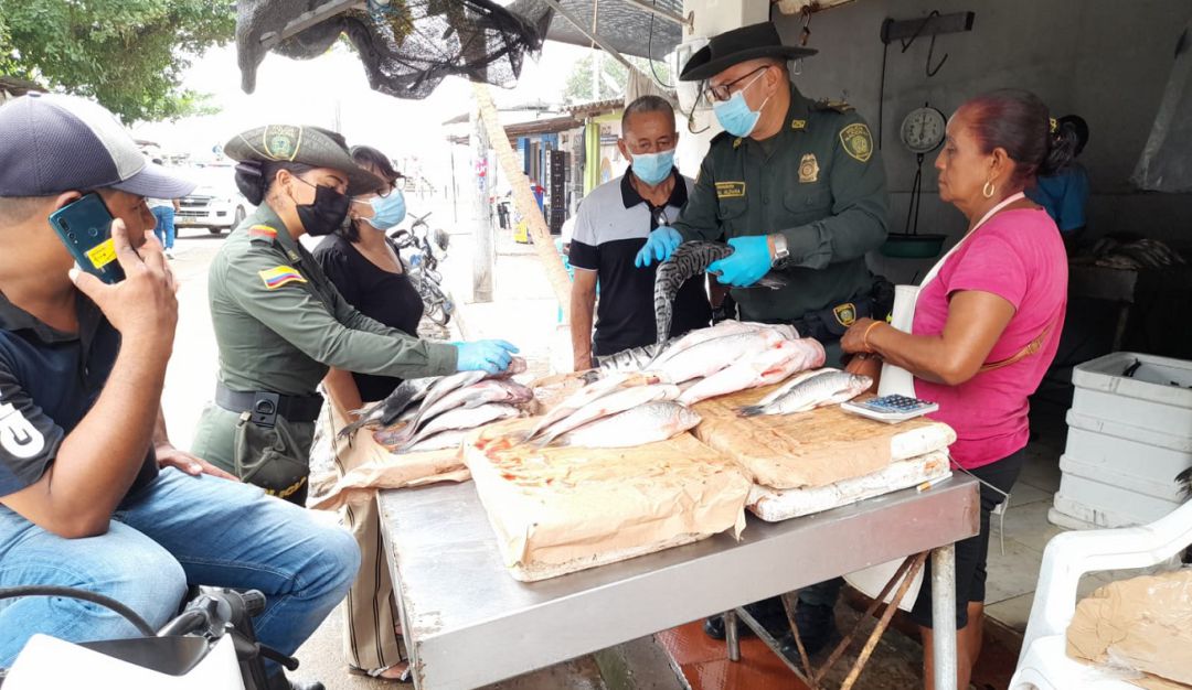 Las autoridades recomiendan observar características del pescado para determinar si es de buena calidad, especialmente en sus ojos Las autoridades recomiendan observar características del pescado para determinar si es de buena calidad, especialmente en sus ojos