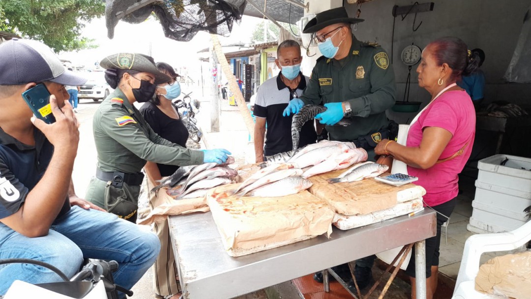 64 funcionarios realizan control a venta de pescado en Bolívar