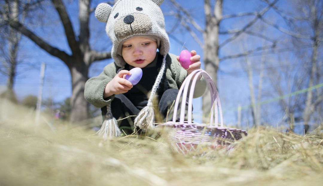 EE.UU. celebró la Pascua afectado por la inflación y gripe aviar EE.UU. celebró la Pascua afectado por la inflación y gripe aviar