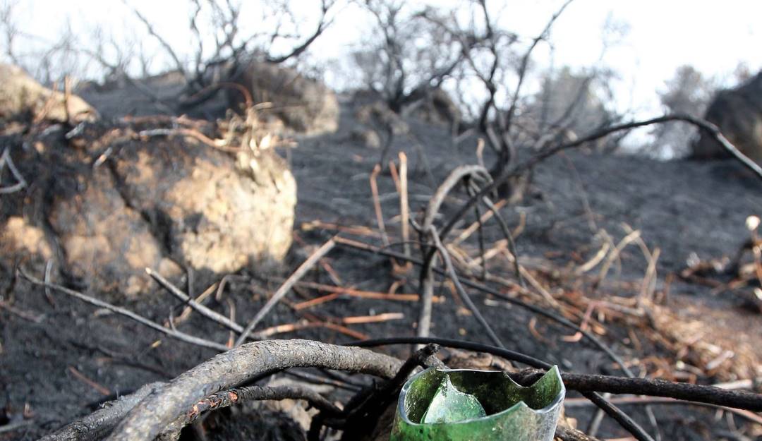 Deforestación de bosques en Colombia. Foto: Colprensa. Deforestación de bosques en Colombia. Foto: Colprensa.