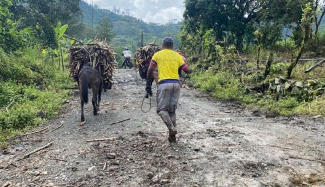 Daños en las vías de Nariño Daños en las vías de Nariño