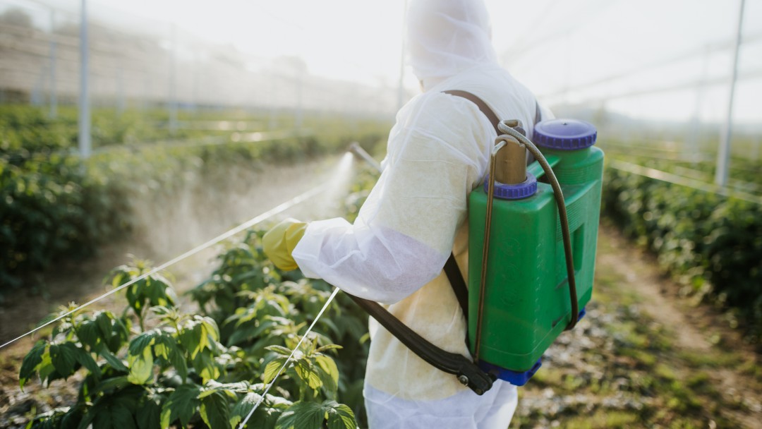 Plantean producir más insumos agrícolas para bajar costos de alimentos