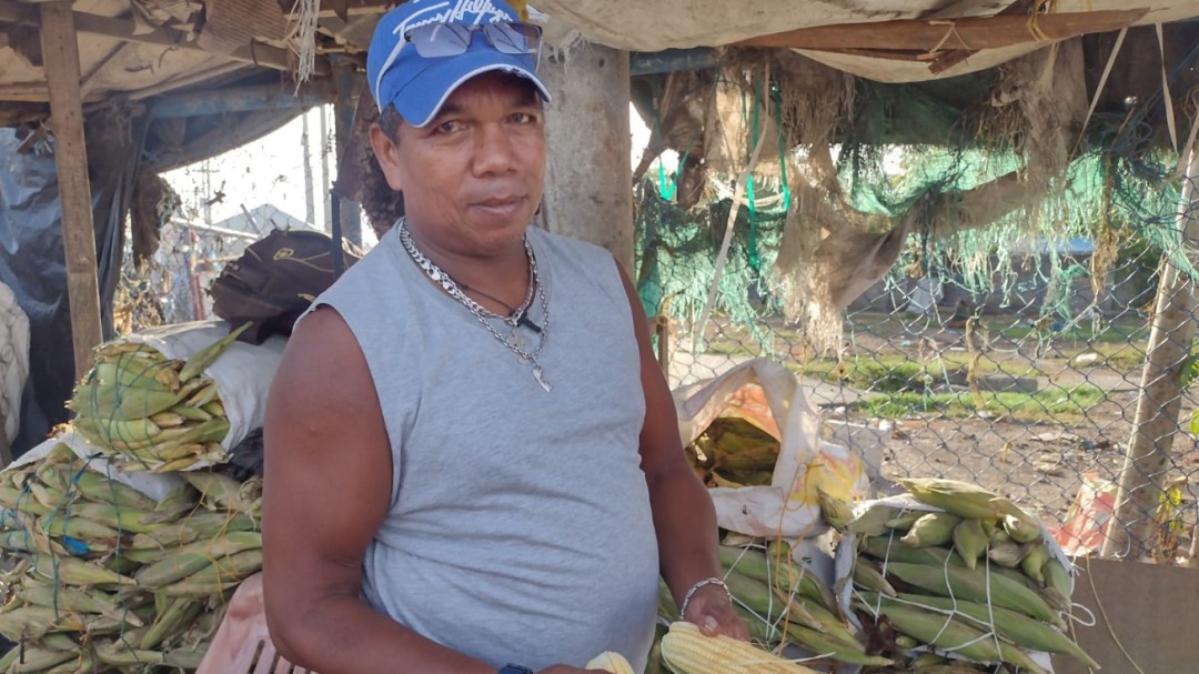 Está bajando el precio del maíz en Cartagena