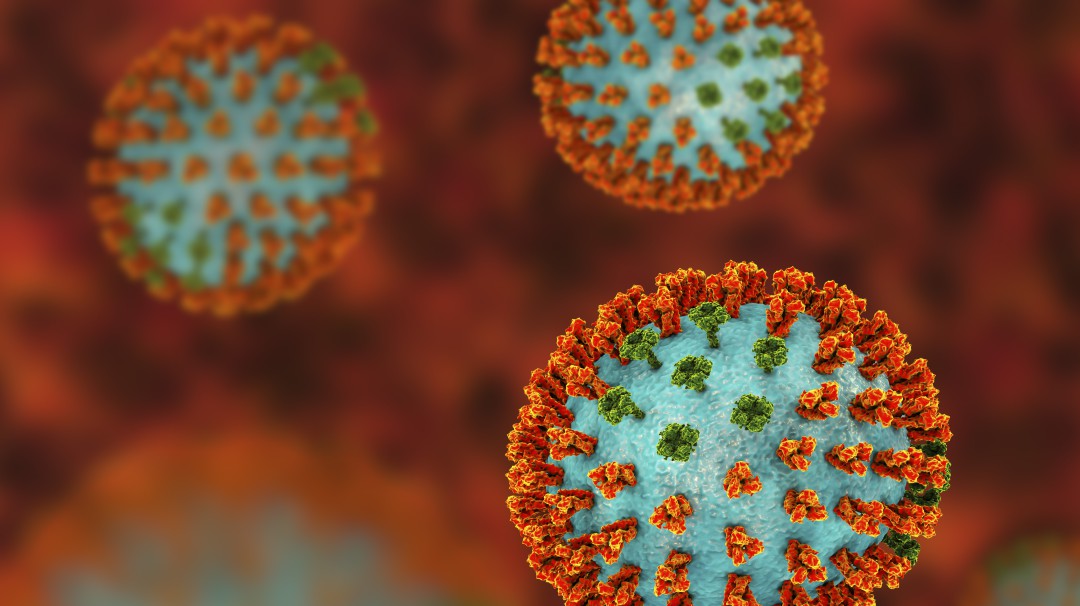 China reporta el primer caso de gripe aviar H3N8 en humanos