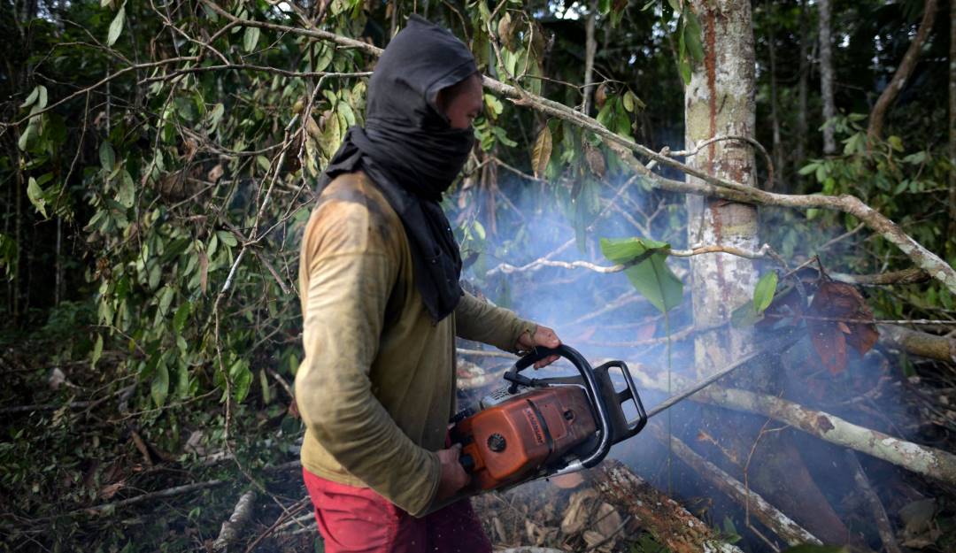 Tala de bosques en el Guaviare, Colombia. Foto: Getty Tala de bosques en el Guaviare, Colombia. Foto: Getty