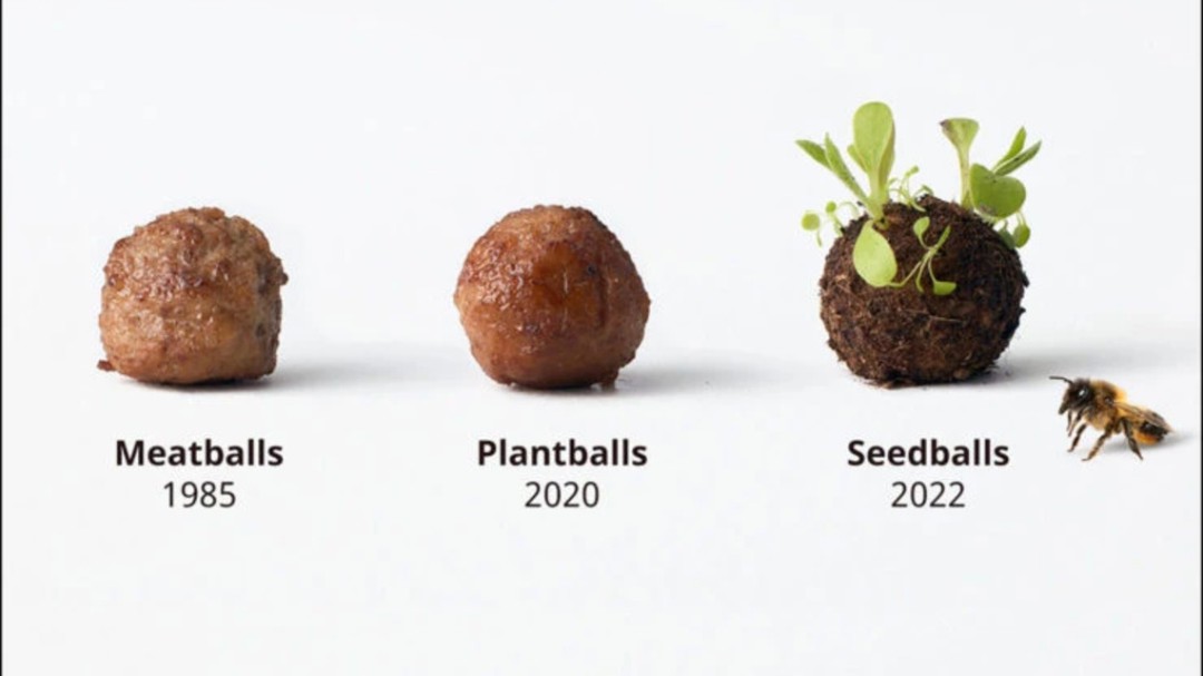 Ikea crea albóndigas para insectos