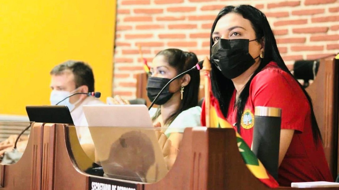 Directora del Dadis pidió garantía en debates del concejo