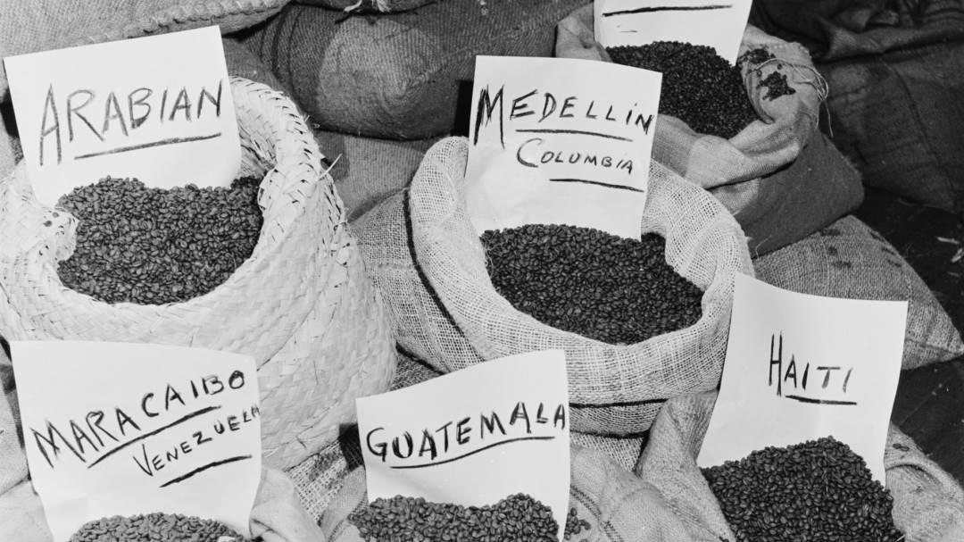 ¿Colombia puede llenar el vacío que dejan Rusia y Ucrania en los mercados?