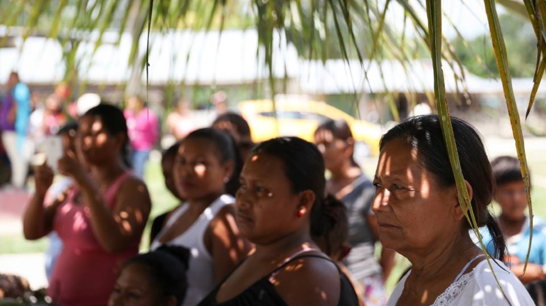 Ciudadanos ayudarán a construir la hoja de ruta para proteger la Amazonía