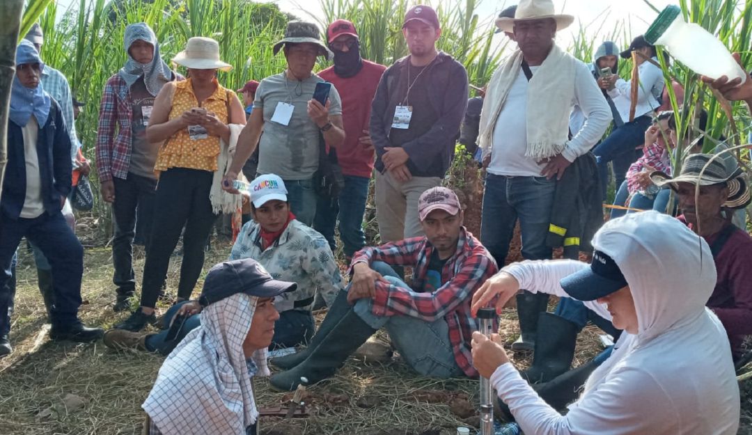 Gracias a la firma de convenio entre Gobernación del Huila y Uniamazonia, este gremio podrá capacitarse reconversión panelera. Gracias a la firma de convenio entre Gobernación del Huila y Uniamazonia, este gremio podrá capacitarse reconversión panelera.