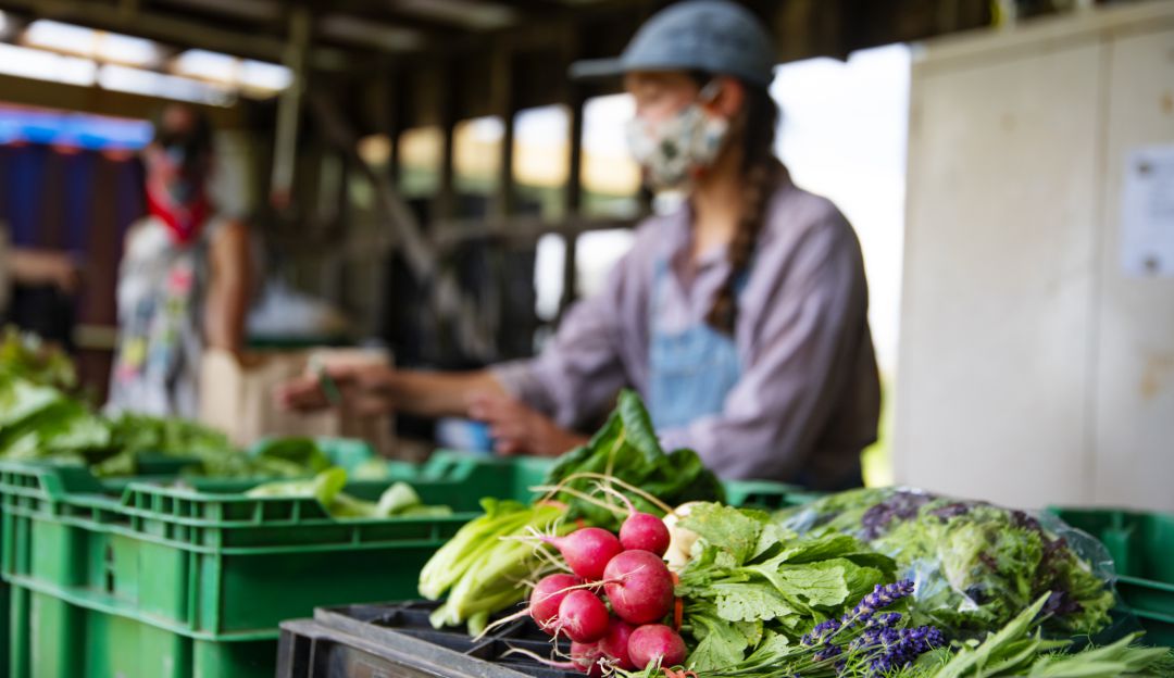 Mercado campesino. Imagen de referencia Mercado campesino. Imagen de referencia