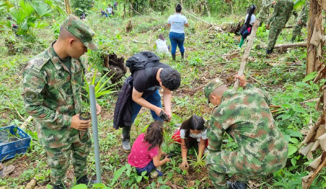 Cinco mil especies nativas de la región fueron sembradas en la capital del Putumayo. Cinco mil especies nativas de la región fueron sembradas en la capital del Putumayo.