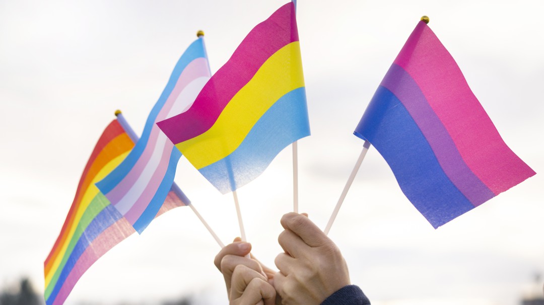Diferencia pansexual y bisexual
