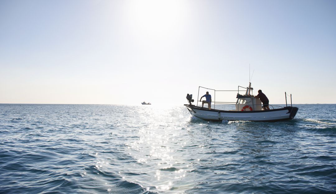 Pesca deportiva Pesca deportiva
