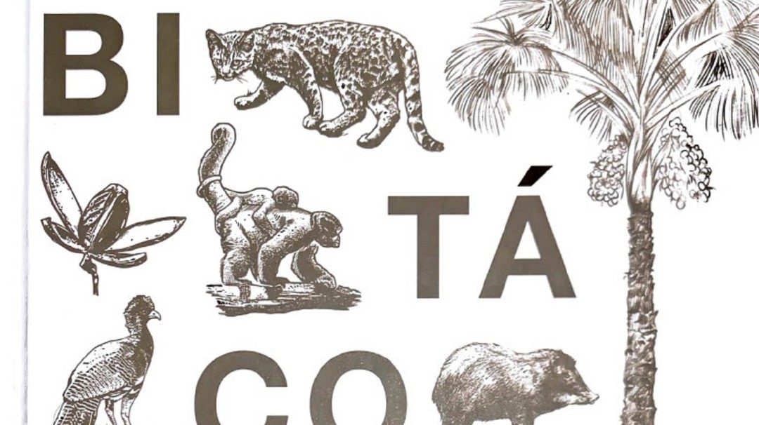 Bitácora del PVS: Territorio, comunidades y conservación