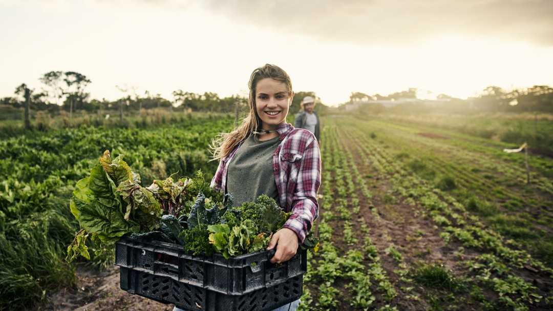 Están creciendo los seguros en el sector agropecuario: Fasecolda