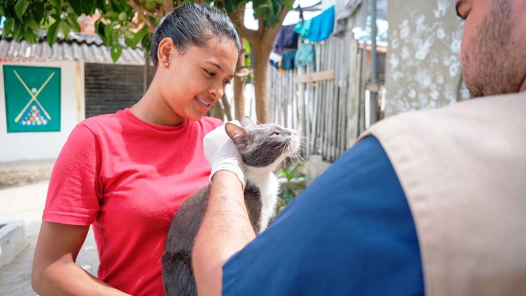 Alcaldía realizó atención médica de perros y gatos en Nelson Mandela