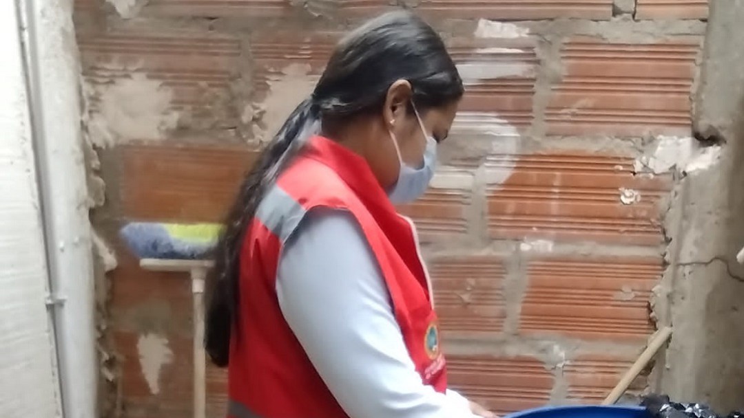 Cartagena no reporta casos de dengue grave en las últimas dos semanas