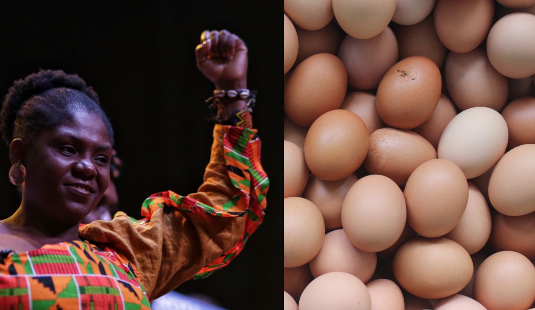 Fenavi desmiente a Francia Márquez sobre "huevos de Alemania" Fenavi desmiente a Francia Márquez sobre "huevos de Alemania"