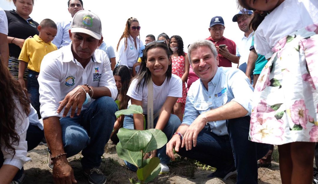 Siembra de uva playera en Ciénaga, Magdalena Siembra de uva playera en Ciénaga, Magdalena