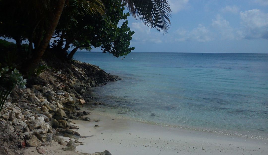 El presidente de la Cámara de Comercio de Cartagena señaló que no es competente para actuar sobre el desalojo en Islas del Rosario El presidente de la Cámara de Comercio de Cartagena señaló que no es competente para actuar sobre el desalojo en Islas del Rosario