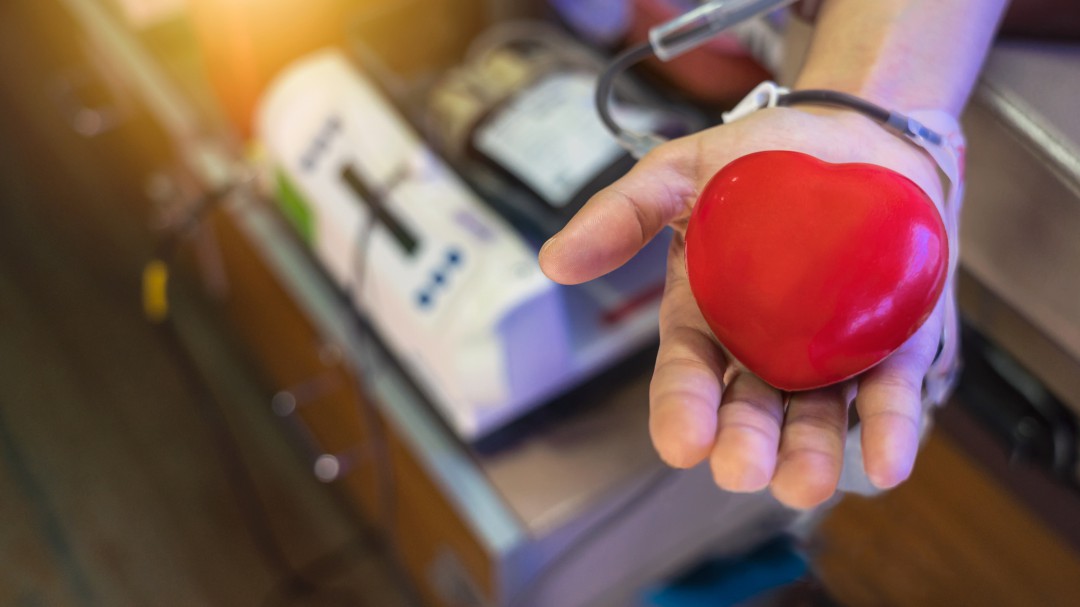ABC de Donación de sangre: requisitos y quién puede ayudar