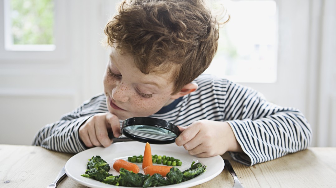 Causas por las cuales los niños son selectivos al comer