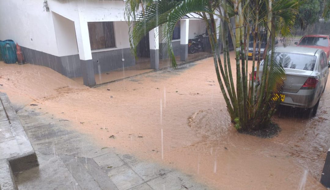 Gualanday, Tolima Gualanday, Tolima