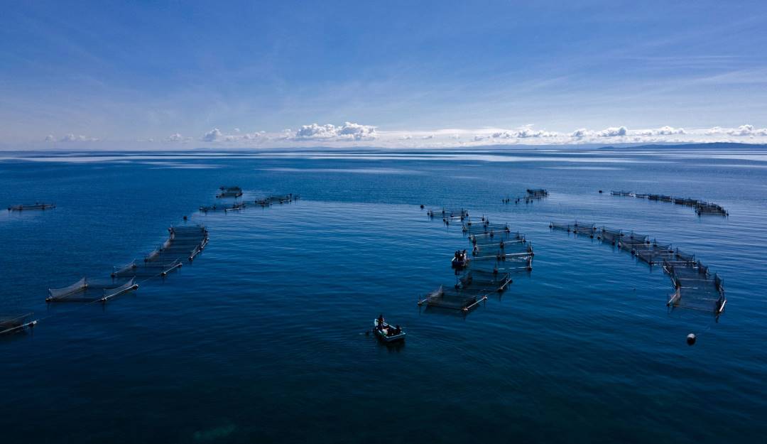 Jornadas de pesca de indígenas en el lago Titicaca, compartido por Perú y Bolivia. Foto: Getty Jornadas de pesca de indígenas en el lago Titicaca, compartido por Perú y Bolivia. Foto: Getty