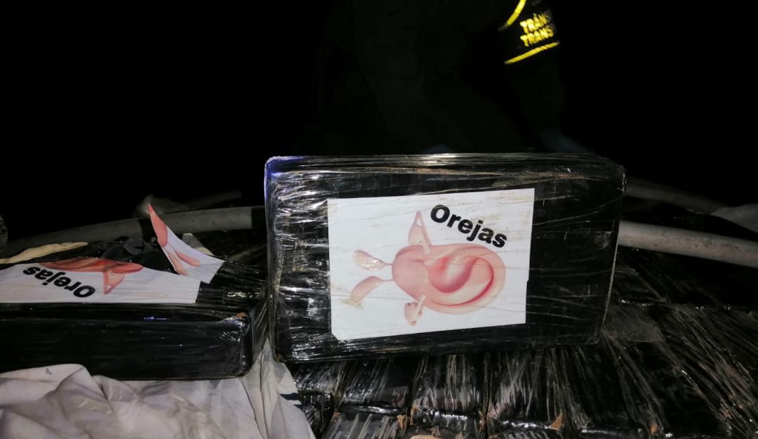 Cocaina incautada Cocaina incautada