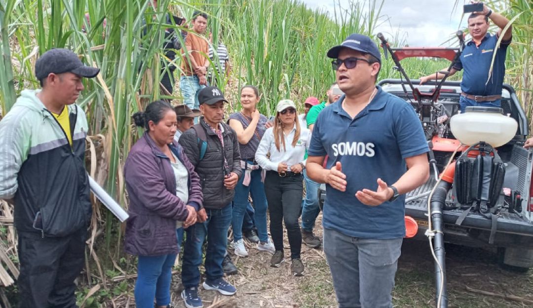 Cerca de 1200 toneladas mensuales produce el gremio de paneleros del sur del Huila. Cerca de 1200 toneladas mensuales produce el gremio de paneleros del sur del Huila.