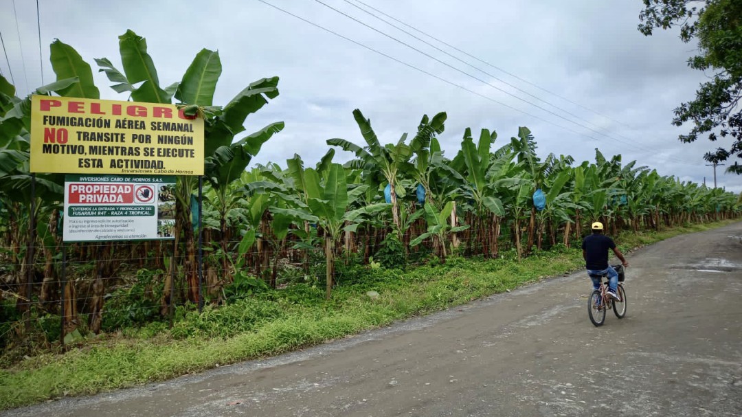 Los motores de la economía de Urabá
