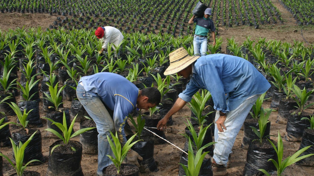 Encuentro de extensionistas repasará los retos del agro en América Latina