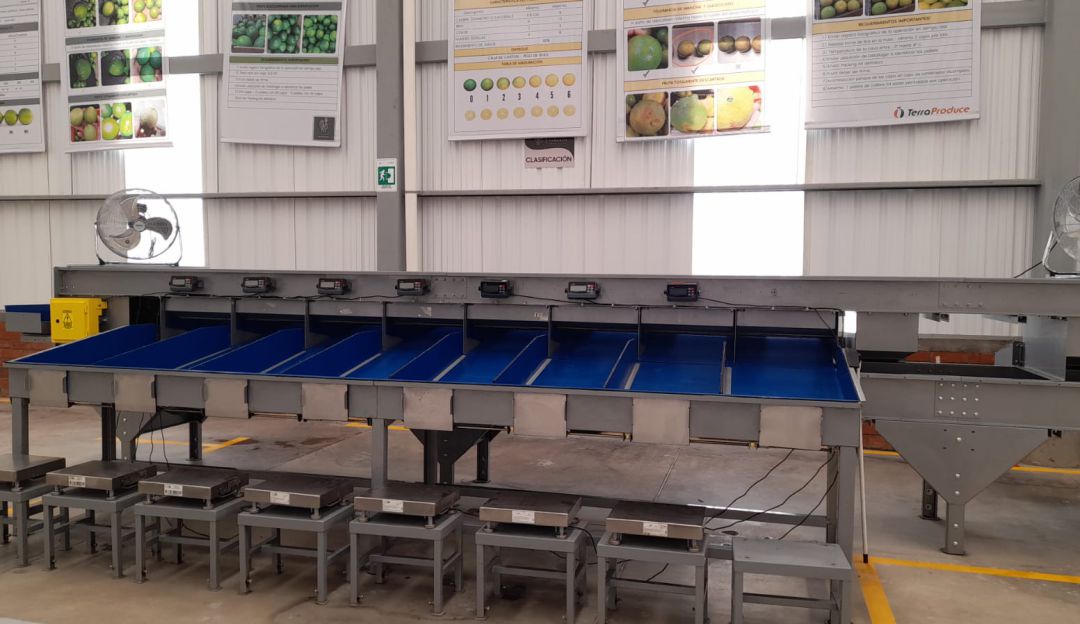Planta empacadora de fruta de exportación en Caldas Planta empacadora de fruta de exportación en Caldas