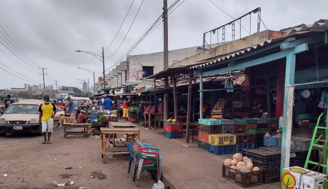 Concejales hacen seguimiento a la reubicación de la central de abastos Concejales hacen seguimiento a la reubicación de la central de abastos