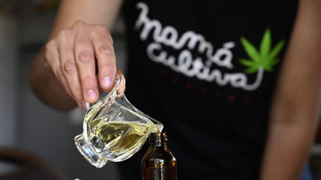 Argentina regula la industria del cannabis medicinal y cáñamo
