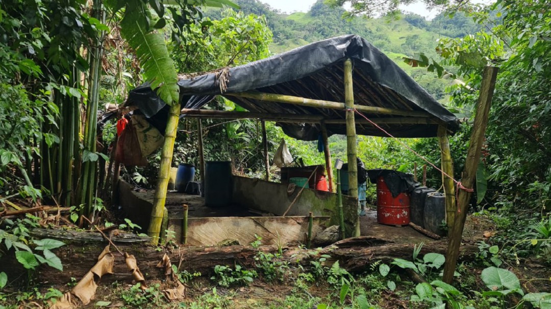 Destruído laboratorio de coca en Norcasia - Caldas